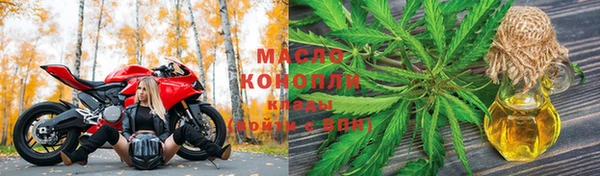 стаф Магадан