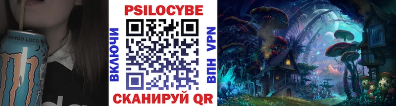 Галлюциногенные грибы Psilocybe  Камызяк 